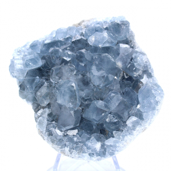 Cristalli di celestite