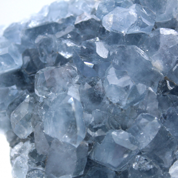 Cristalli di celestite