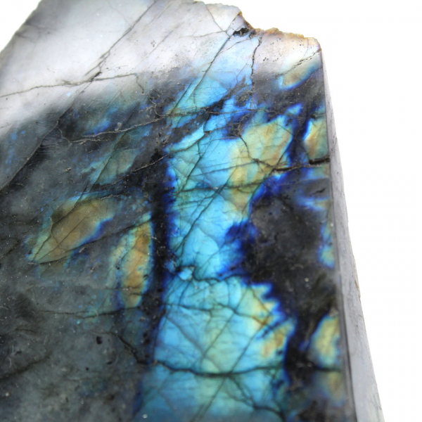 Pietra labradorite naturale lucidata su un lato