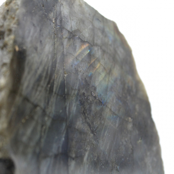 Labradorite viola semigrezza