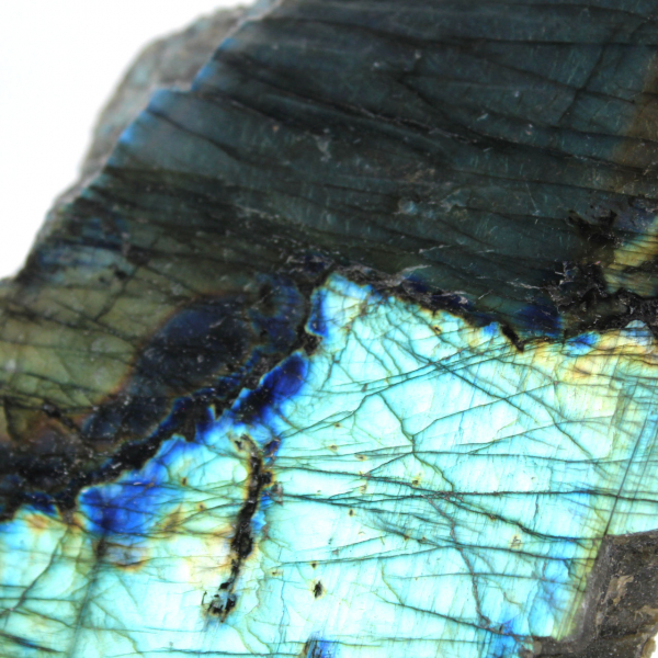 Labradorite ornamentale lucida a una faccia