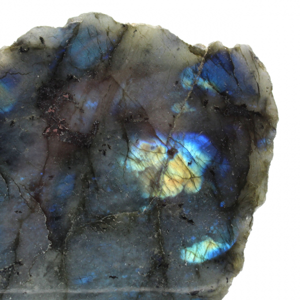 Labradorite ornamentale lucidata su un lato