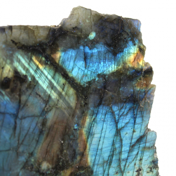 Labradorite naturale lucidata su un lato