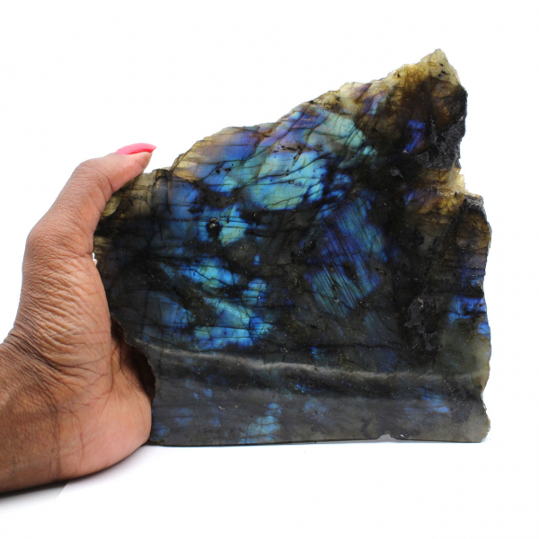 Labradorite da collezione lucida su un lato