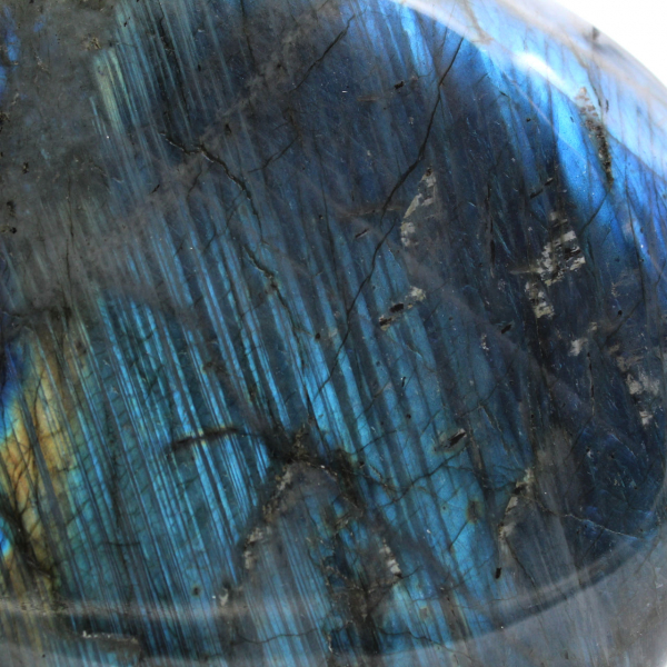 Labradorite lucida