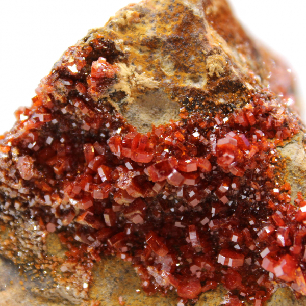 Cristallizzazione della vanadinite