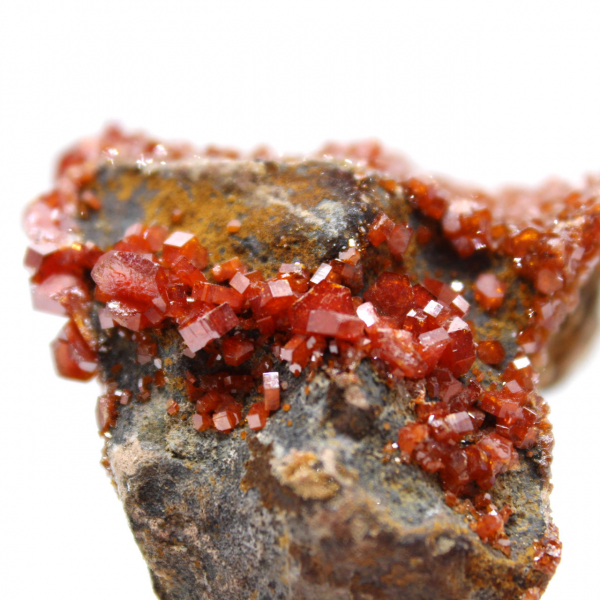 Cristallizzazione della vanadinite naturale