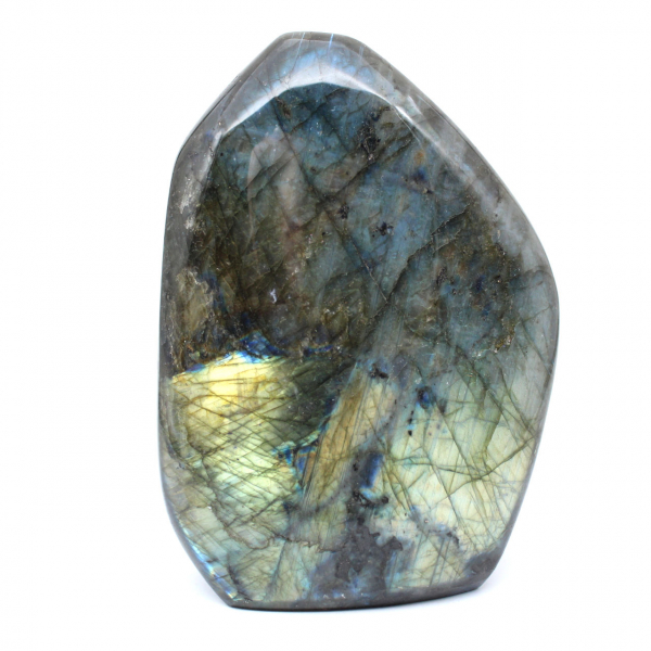 Labradorite lucidata Forma lucidata