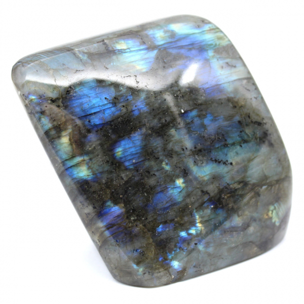 Labradorite lucidata a forma libera