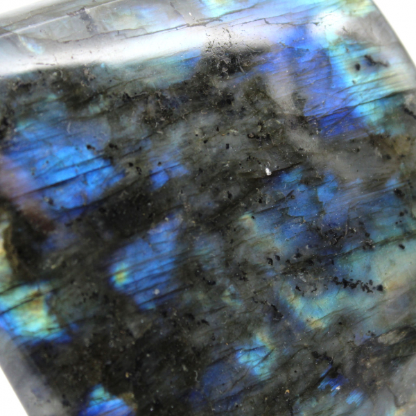 Labradorite lucidata a forma libera