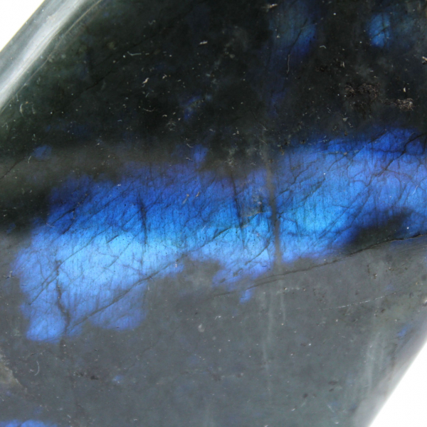 Labradorite lucidata