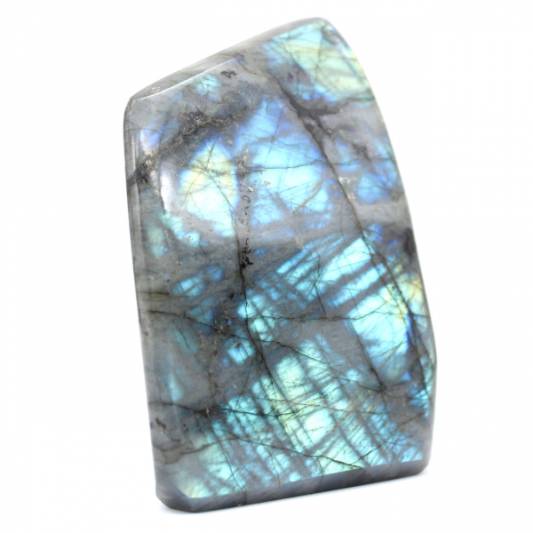 Labradorite lucidata Forma lucidata