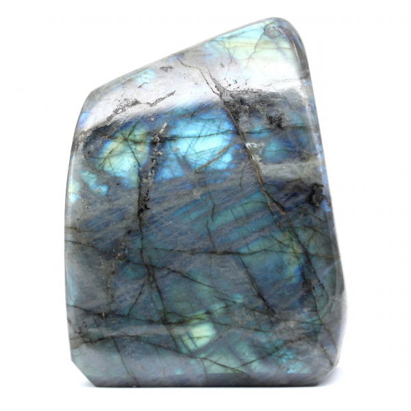 Labradorite lucidata Forma lucidata