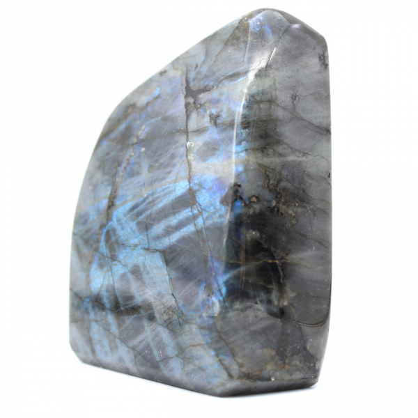 Labradorite lucidata Forma lucidata