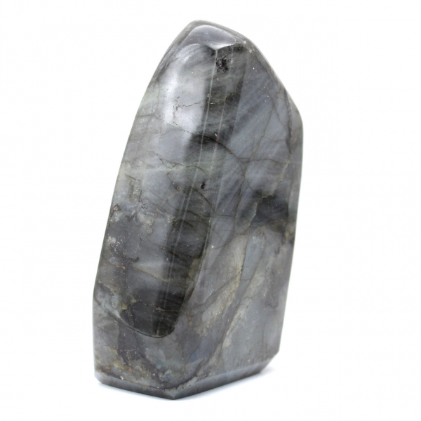 Labradorite lucidata Forma lucidata