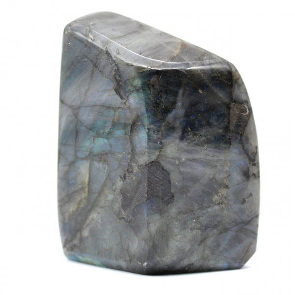 Labradorite lucidata Forma lucidata