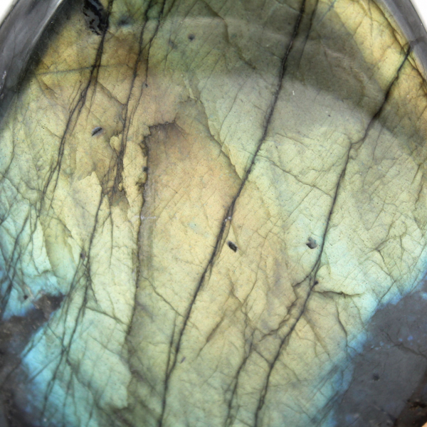 Labradorite lucidata per decorazione