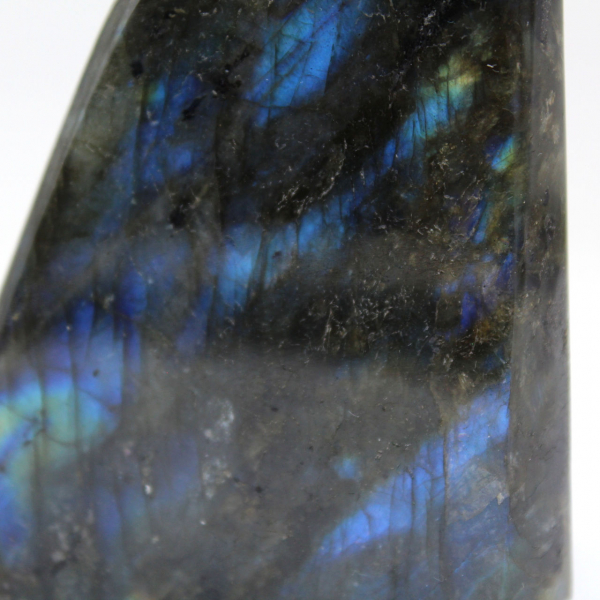 Labradorite lucidata forma libera