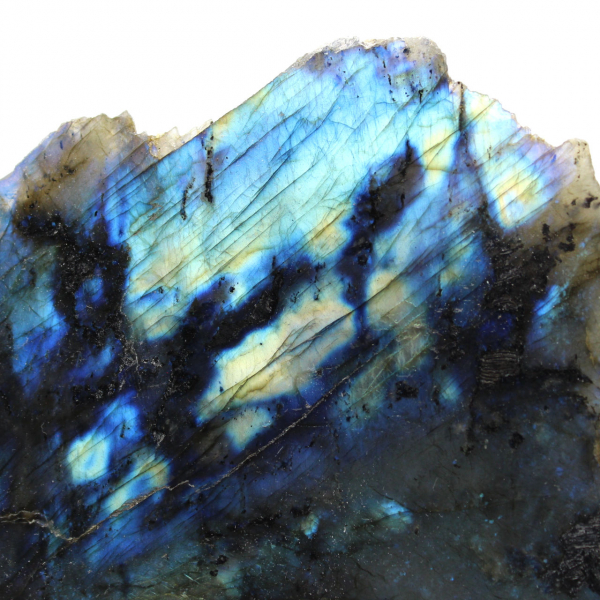 Labradorite monofacciale da collezione lucidata