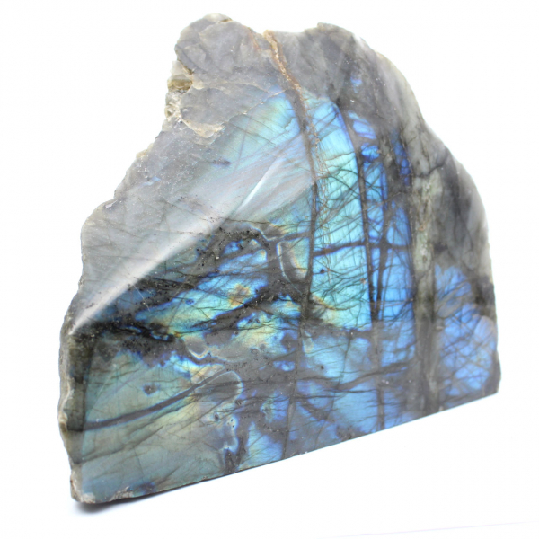 Spettrolite decorativa naturale con una faccia lucidata