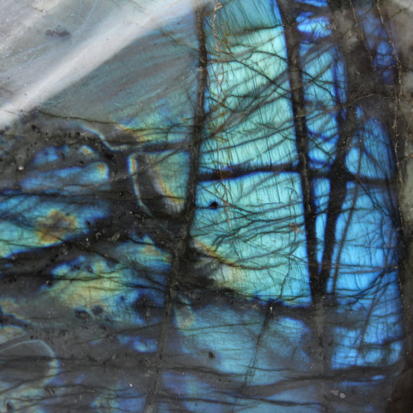 Spettrolite decorativa naturale con una faccia lucidata