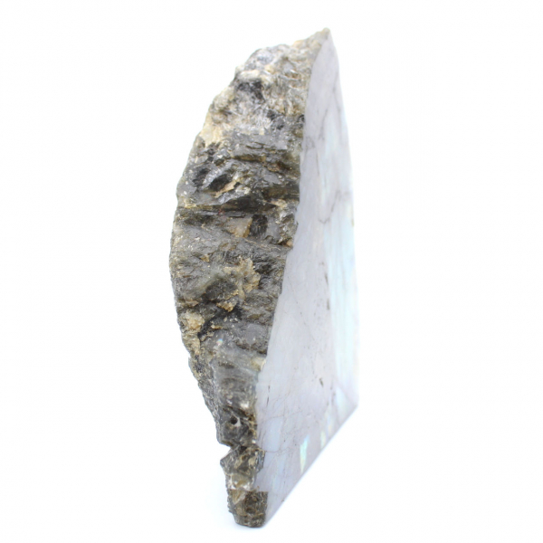 Labradorite naturale lucidata su un lato