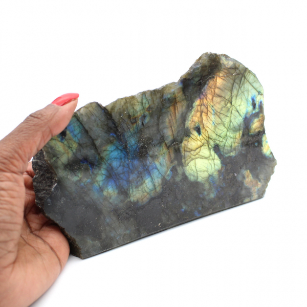 Labradorite monofacciale da collezione lucidata