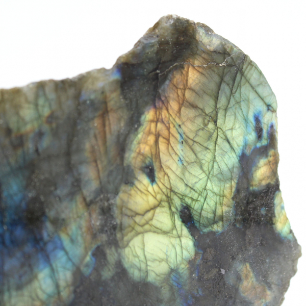 Labradorite ornamentale lucidata su un lato