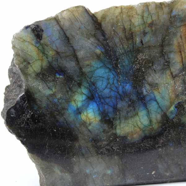 Labradorite ornamentale lucidata su un lato