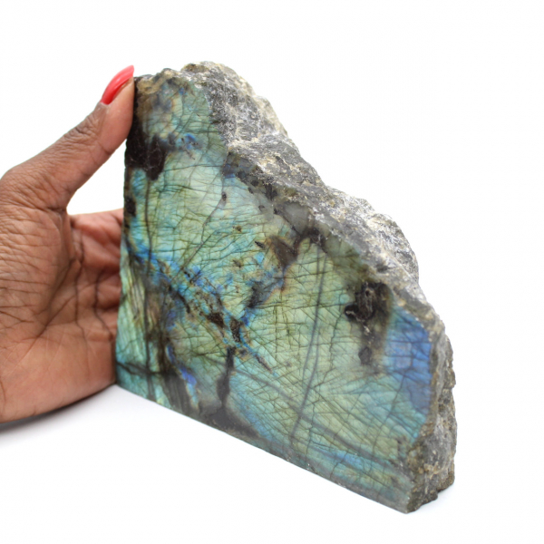 Labradorite monofacciale da collezione lucidata
