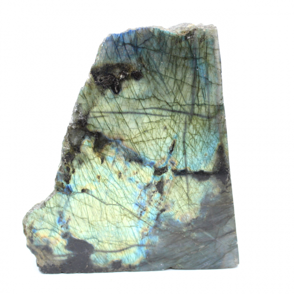 Labradorite ornamentale lucidata su un lato