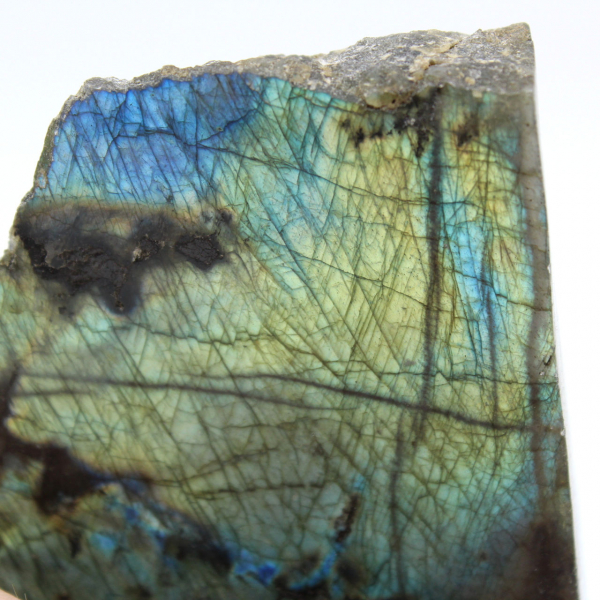 Labradorite ornamentale lucidata su un lato