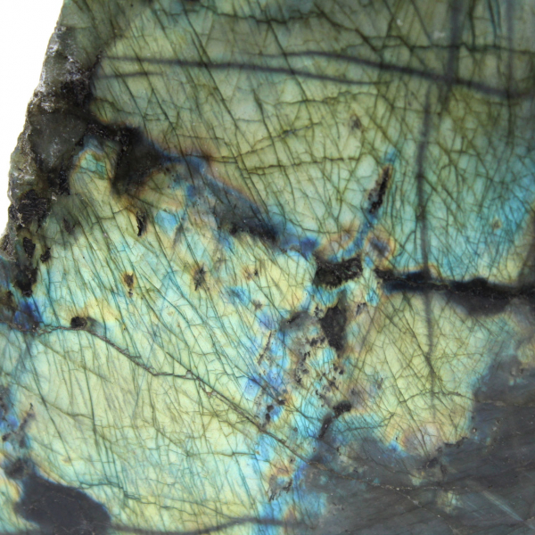 Labradorite ornamentale lucidata su un lato