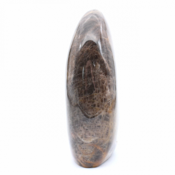 Collezione di microclino nero naturale