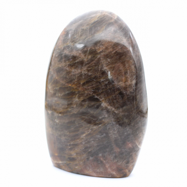 Collezione di microclino nero naturale