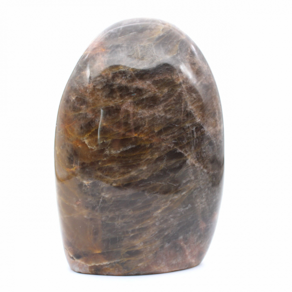 Collezione di microclino nero naturale