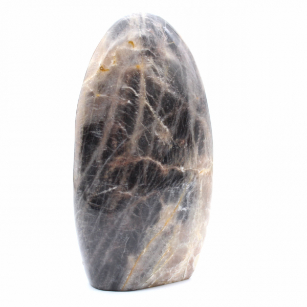 Pietra di luna nera lucidata