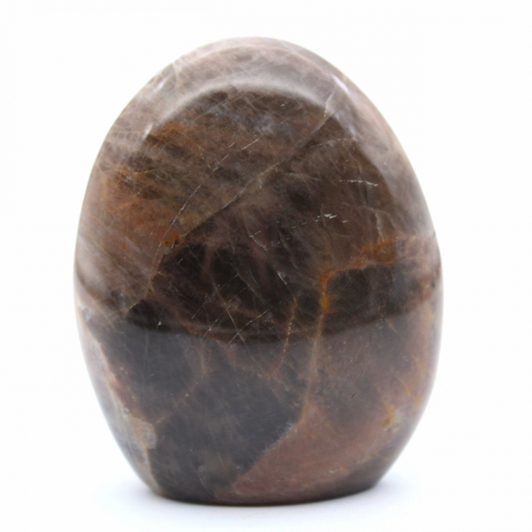 Pietra di luna nera lucidata a forma libera