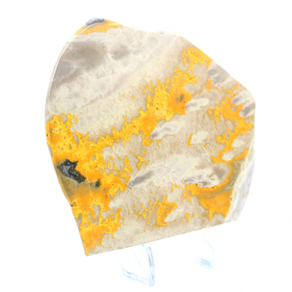 Jasper Bumblebee