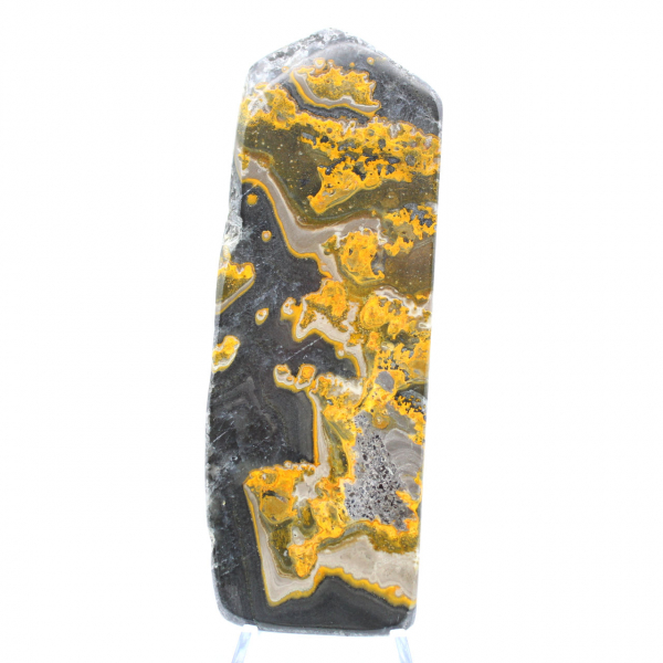 Jasper Bumblebee