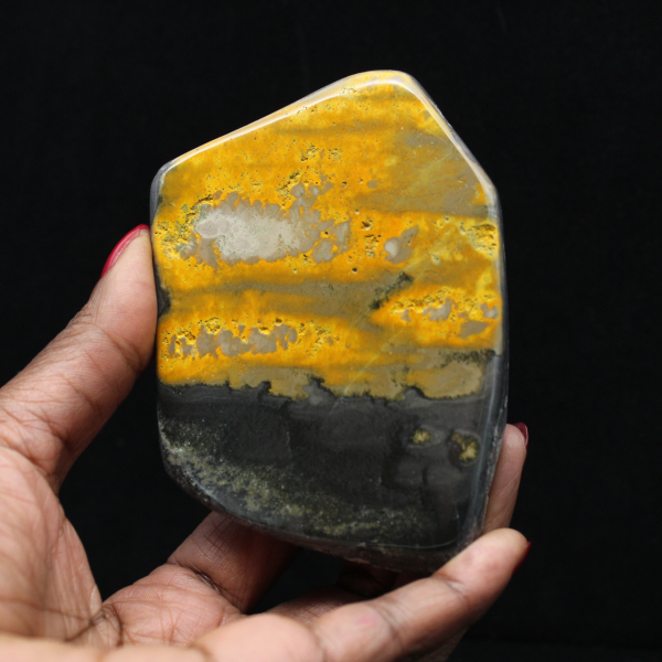 Collezione Indonesia lucidata Bumblebee