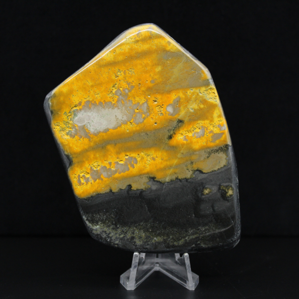 Collezione Indonesia lucidata Bumblebee