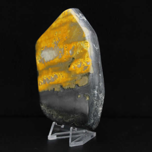 Collezione Indonesia lucidata Bumblebee