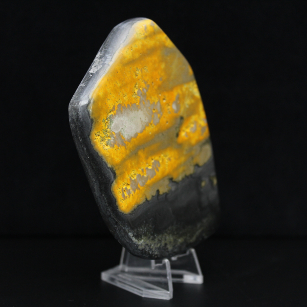 Collezione Indonesia lucidata Bumblebee