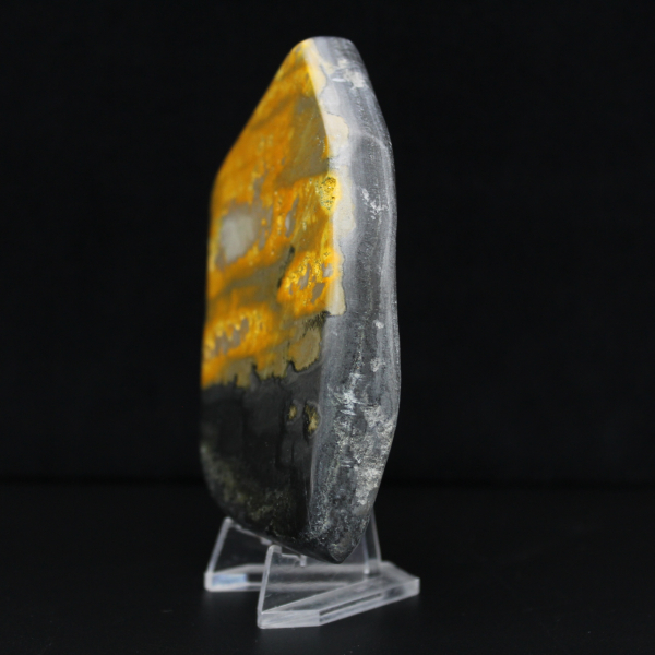 Collezione Indonesia lucidata Bumblebee