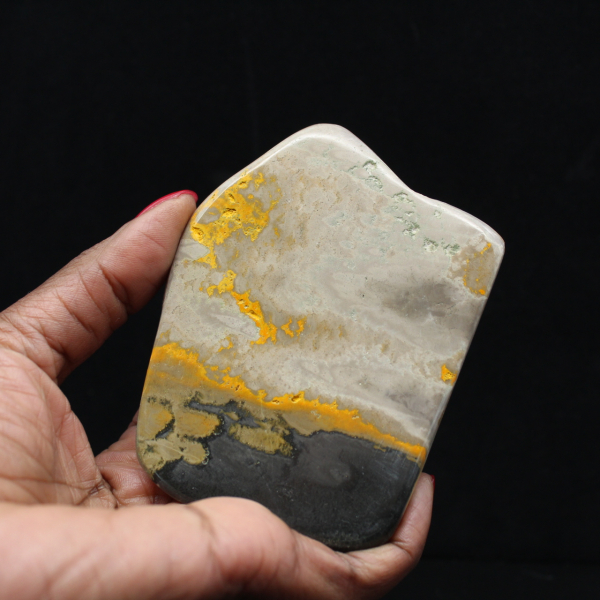 Decorazione di autenticità dell'esemplare di calabrone di diaspro