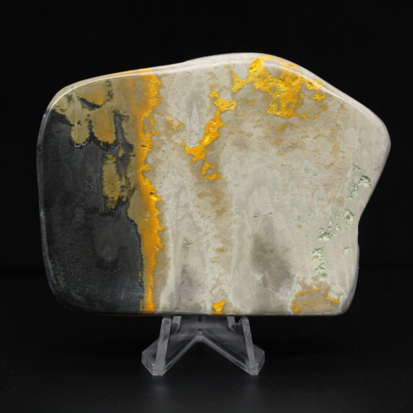 Decorazione di autenticità dell'esemplare di calabrone di diaspro