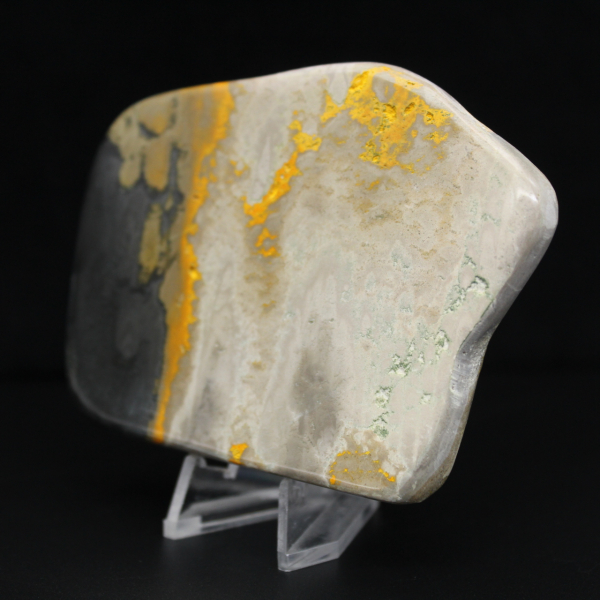 Decorazione di autenticità dell'esemplare di calabrone di diaspro