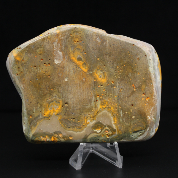 Decorazione di autenticità dell'esemplare di calabrone di diaspro