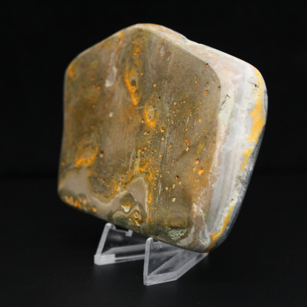 Decorazione di autenticità dell'esemplare di calabrone di diaspro